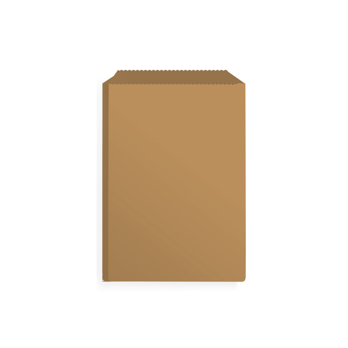 Kraft paper bag